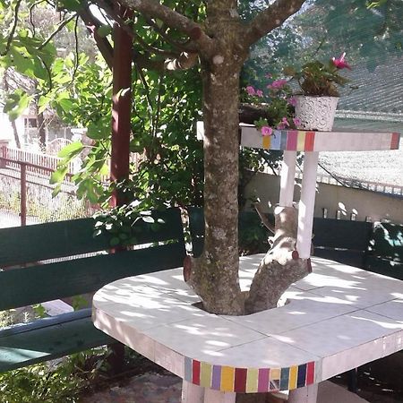 Appartamento Eleni Teodo Esterno foto